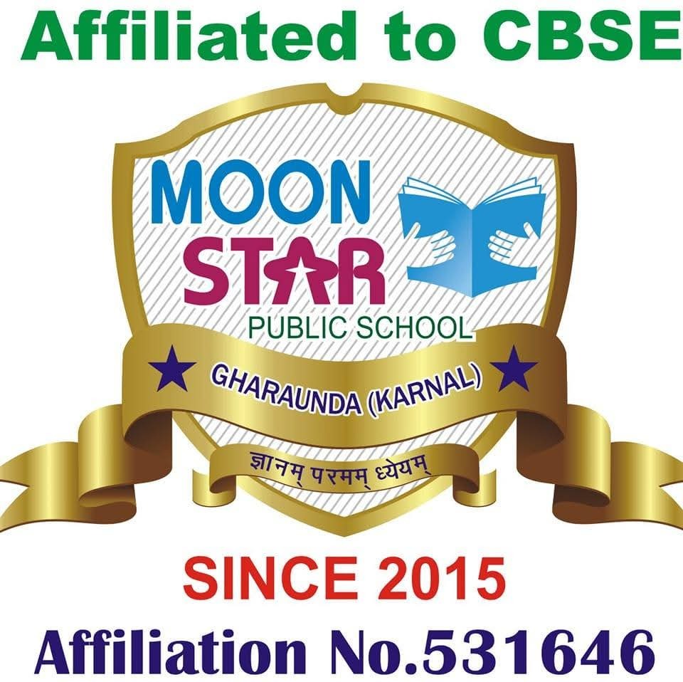 Moon Star Public School